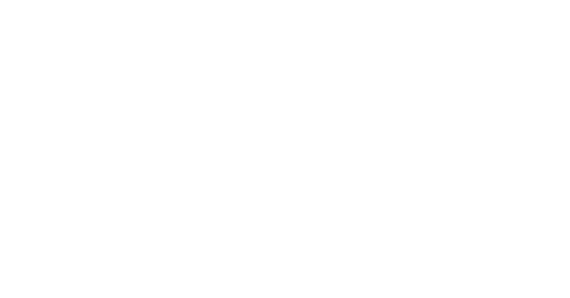 bvnemo